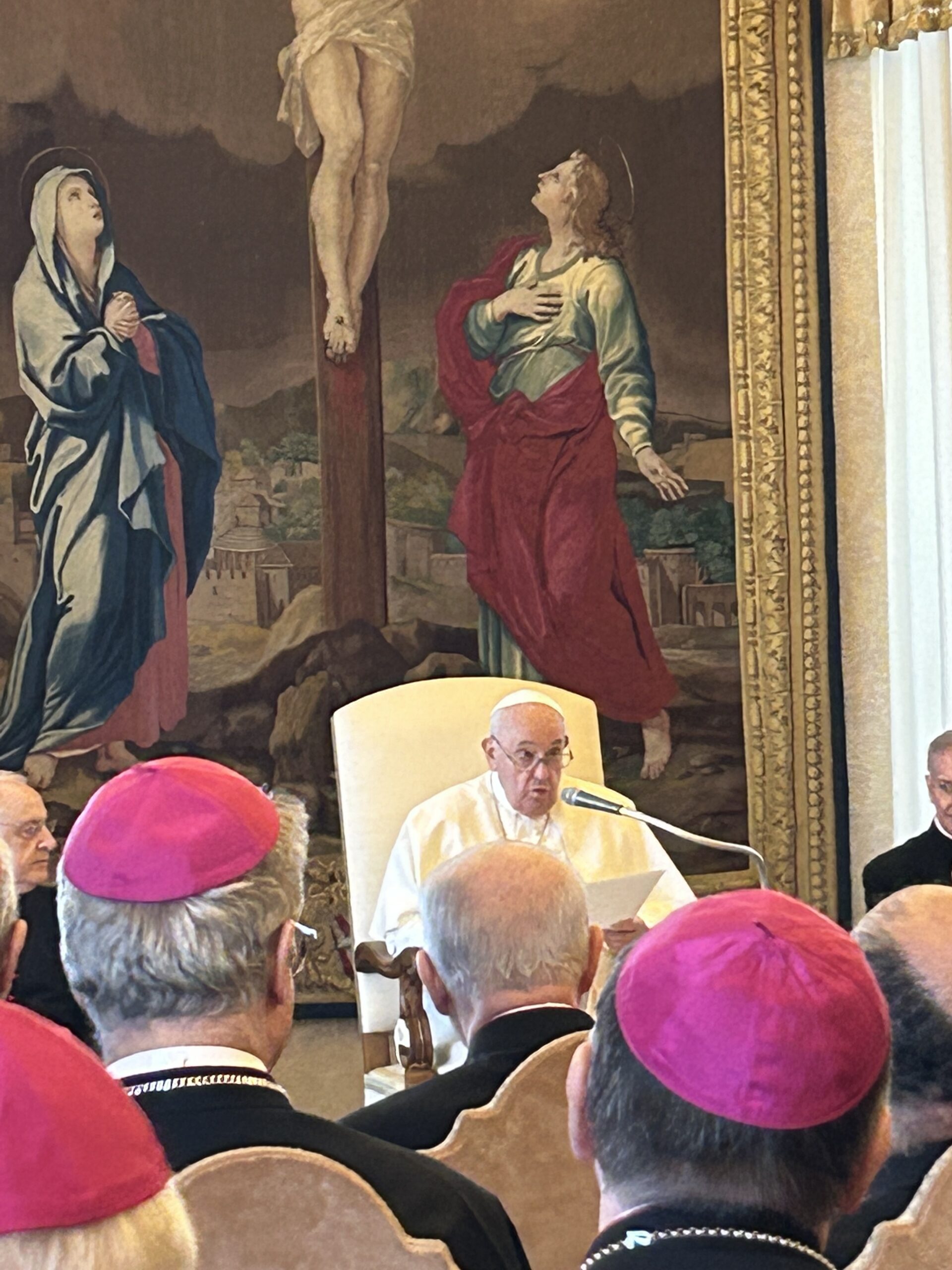 Pope Francis delivering his address to members